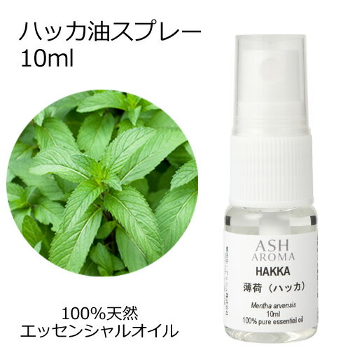 アッシュ 冷感スプレー ハッカ油スプレー 10ml エッセンシャルオイル アロマオイル 精油 アロマ 和種薄荷 和ハッカ ハッカ油