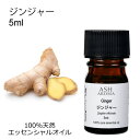 ジンジャー 5ml アロマオイル エッセンシャルオイル 精油 天然100% 植物由来 高品質 AEAJ認定 生姜 ショウガ スパイス系 香り アロマテラピー ア...
