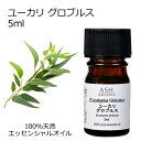 ユーカリ グロブルス 5ml アロマオイル エッセンシャルオイル 精油 天然100% 植物由来 高品質 AEAJ認定 ウッド系 樹木系 香り アロマテラピー ア...