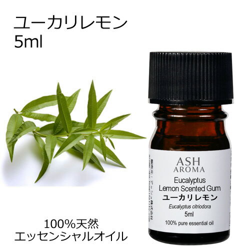 桼 5ml å󥷥륪 ޥ   桼ꥷȥꥪɥ 桼