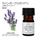 ラベンダー ブルガリアン 真正ラベンダー 5ml アロマオイル エッセンシャルオイル 精油 天然100% 植物由来 高品質 AEAJ認定 フローラル系 香り ア...