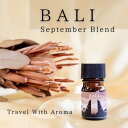 【9月特別企画 期間限定】 BALI バリ島 エッセンシャルオイルブレンド 5ml ドロッパー付き遮光ビン 1本 ASH AROMA
