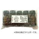 ゼラニウム 10ml×5本 ラベルなし エッセンシャルオイル アロマオイル 精油 アロマ