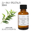 ユーカリ グロブルス 30ml アロマオイル エッセンシャルオイル 精油 天然100% 植物由来 高品質 AEAJ認定 ウッド系 樹木系 香り アロマテラピー ...