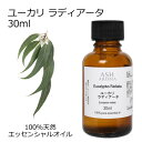 ユーカリ ラディアータ 30ml エッセンシャルオイル アロマオイル 精油 アロマ ユーカリラジアータ ユーカリラディエータ 母の日