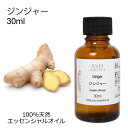 ジンジャー 30ml アロマオイル エッセンシャルオイル 精油 天然100% 植物由来 高品質 AEAJ認定 生姜 ショウガ スパイス系 香り アロマテラピー ...