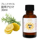【店内全品ポイント10倍!】 Day (昼用)アロマブレンドオイル 30ml 【アロマオイル エッセンシャルオイル 精油】 TVと同じ配合比率 天然100% ア...