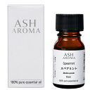 スペアミント 10ml 箱入り アロマオイル エッセンシャルオイル 精油 天然100% 植物由来 高品質 AEAJ認定 ミドリハッカ ハーブ系 香り アロマテラ...