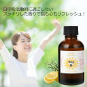 Day （昼用）アロマブレンドオイル 50ml　【アロマオイル エッセンシャルオイル 精油 母の日】 TVと同じ配合比率 天然100％ アロマ 業務用 ブレンドオイル レモン ローズマリー 2