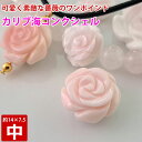 カリブ海 ピンクコンクシェル 薔薇 中 約14mm×7.5mm 両穴 ハンドカービング 粒売り バラ売り パワーストーン 天然石 ビーズ ブレスレット 卸 問屋