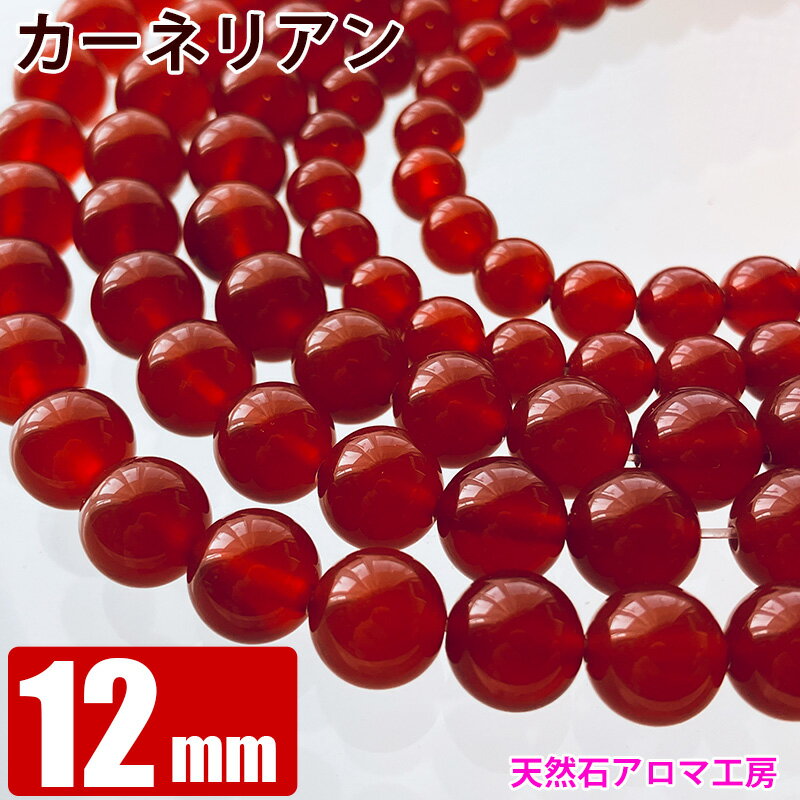 åɥͥꥢ 12mm̡γ Х ѥȡ ŷ ӡ ֥쥹å  䲰