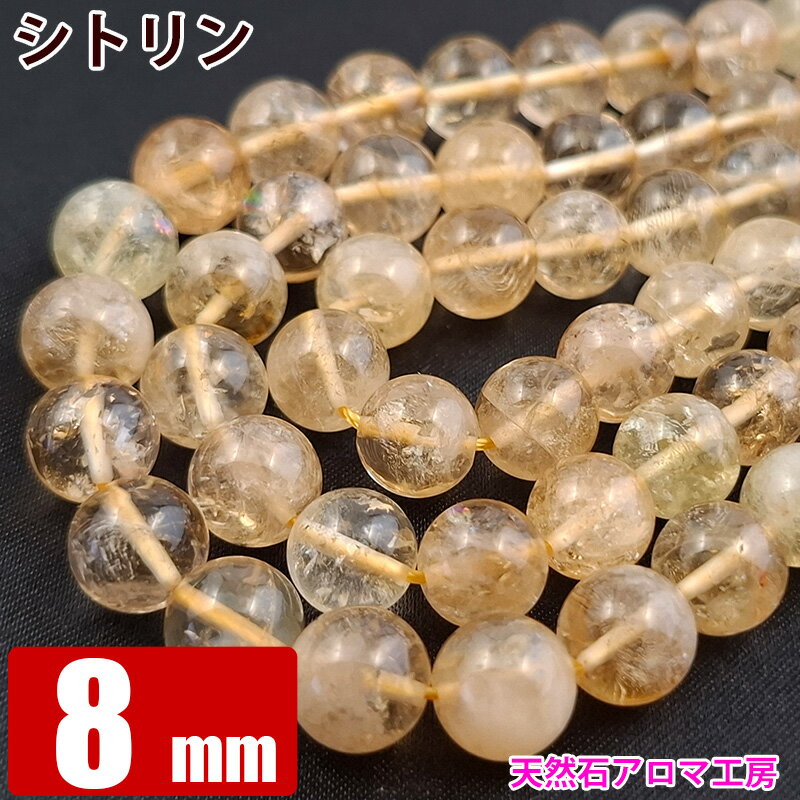 ȥ 8mm γ Х ֥饸 ̵ ѥȡ ŷ ӡ ֥쥹å  䲰