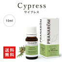 《6/4(水)20:00~6/11(水)01:59まで★当店全品ポイント2倍》【送料無料】\並行輸入品/ プラナロム サイプレス 10mプラナロム 並行輸入品 精油 エッセンシャルオイル アロマテラピー(4)