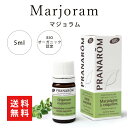 商品情報ブランドプラナロム PRANAROM/並行輸入品分類エッセンシャルオイル 精油精油名マジョラム学名Origanum majorana容量5ml認証BIOオーガニック認証・AB認証・EUオーガニック認証備考●開封後は、冷暗所に保管して...