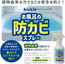 日本製 風呂防カビスプレー 300ml 2