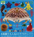 【10月発売予定】 NTC MONO+ うみべのいきもの マグネット&ボールチェーン2 【全8種セット】 ※仮予約※