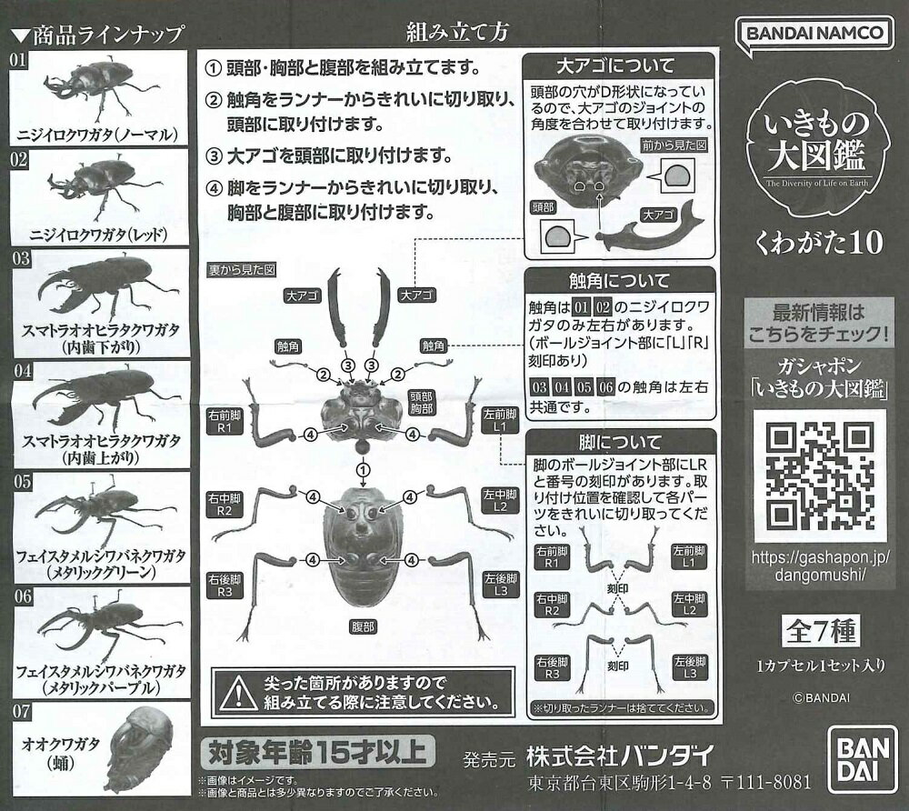 いきもの大図鑑 くわがた10 【各種】のサムネイル