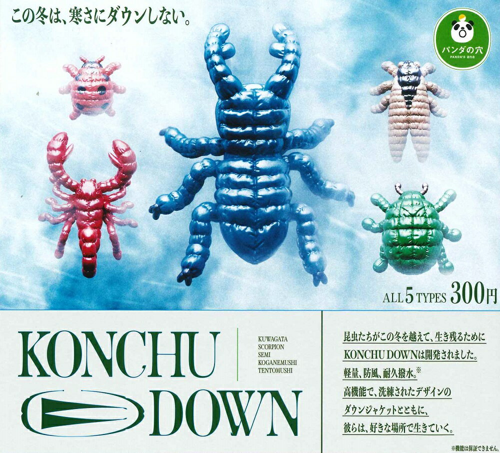 ѥηKONCHUDOWN5糧åȡ