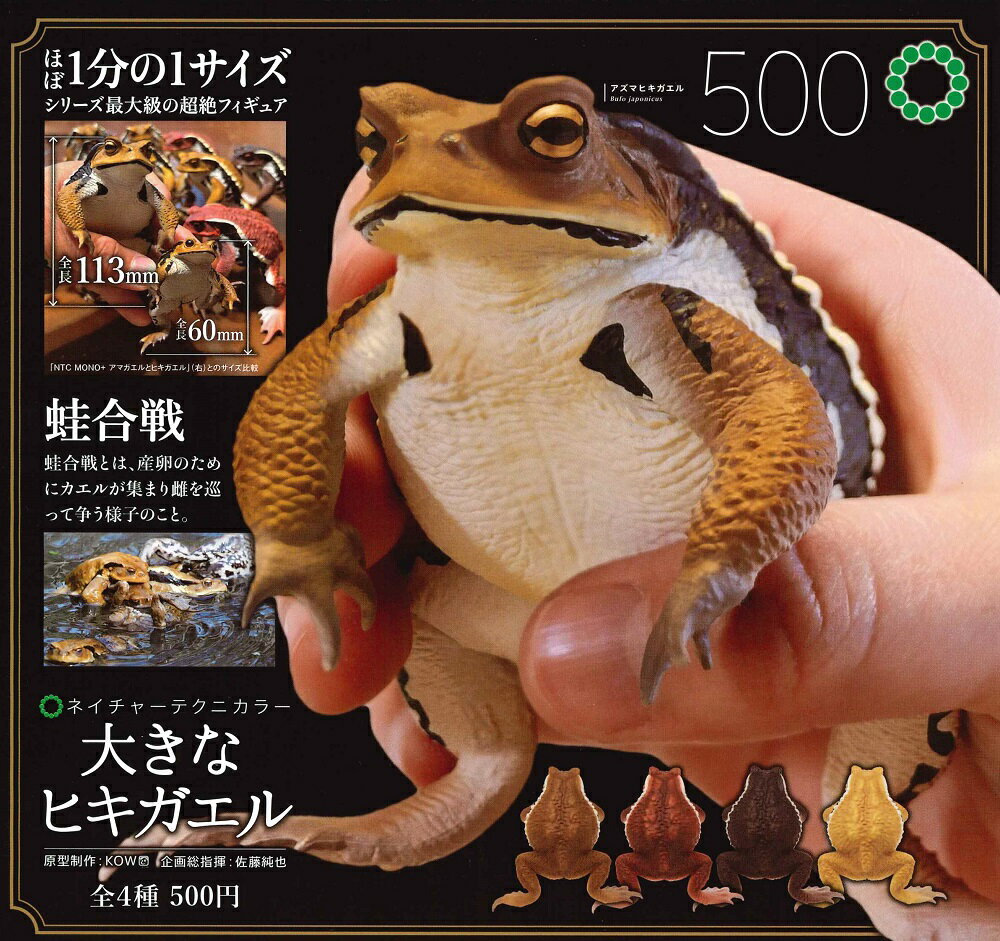 楽天市場】カエル セット ガチャガチャの通販 楽天市場】カエル セット ガチャガチャの通販