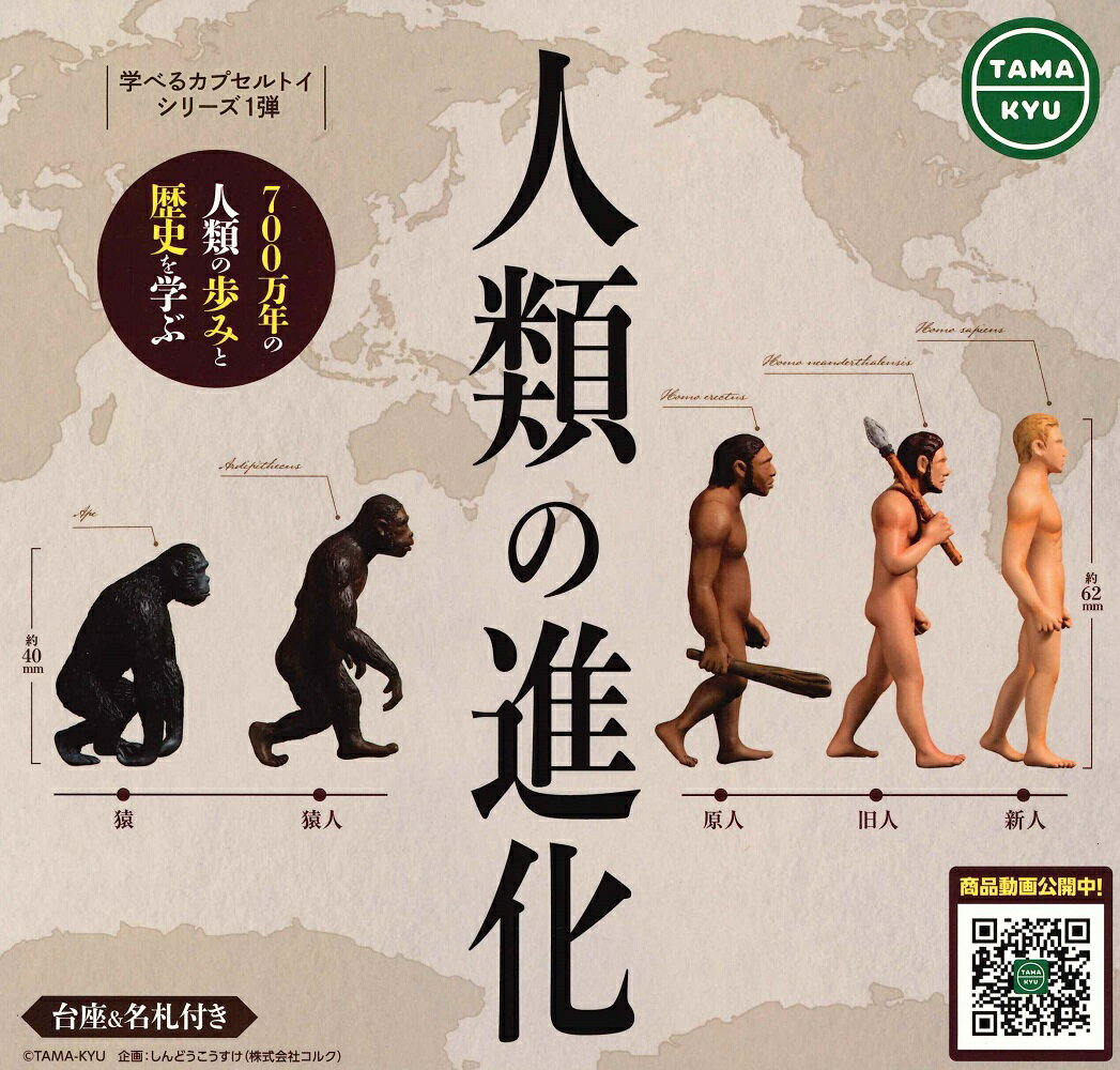 TAMA-KYU 人類の進化 【全5種セット】のサムネイル
