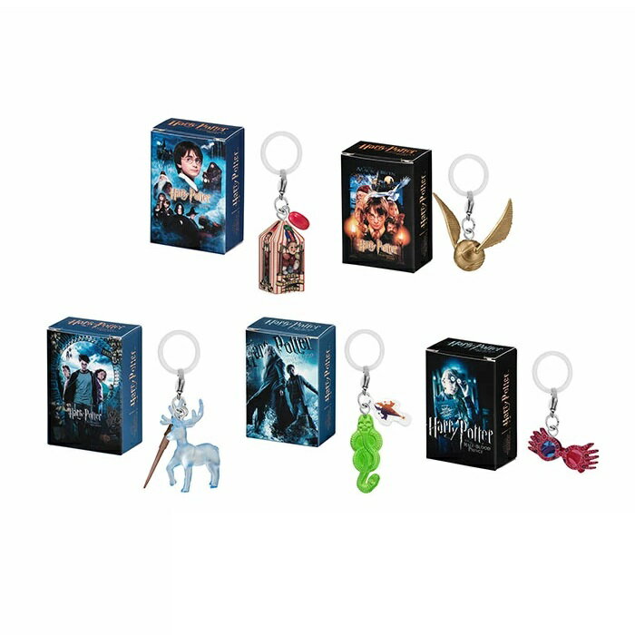 ハリー・ポッター めじるしアクセサリー＋ 【全5種セット】のサムネイル