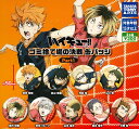 ハイキュー!! ゴミ捨て場の決戦 缶バッジ Part1/Part2 【各種】