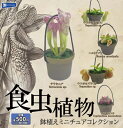 【7月発売予定】 食虫植物 鉢植え ミニチュアコレクション 【全5種セット】 ※仮予約※
