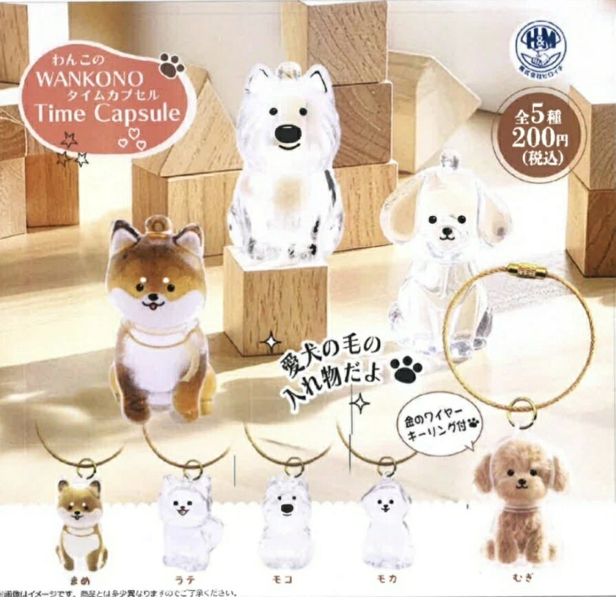 【11月発売予定】 わんこのタイムカプセル 【全5種セット】 ※仮予約※のサムネイル