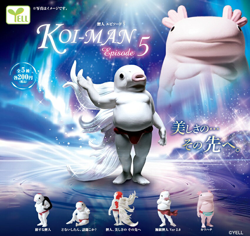 楽天市場】コイマンの通販