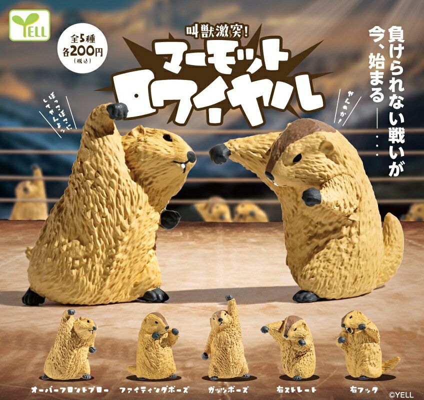 楽天市場】Marmot（ホビー）の通販