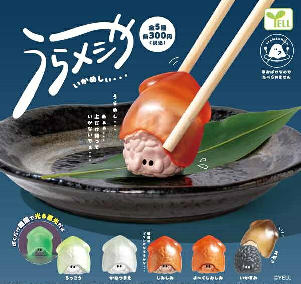 【6月発売予定】 うらメシや -いかめしぃ- 【全5種セット】 ※仮予約※