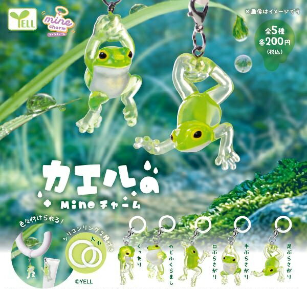 乐天商城 - 【9月発売予定】 カエルのmineチャーム 【全5種セット】 ※仮予約※