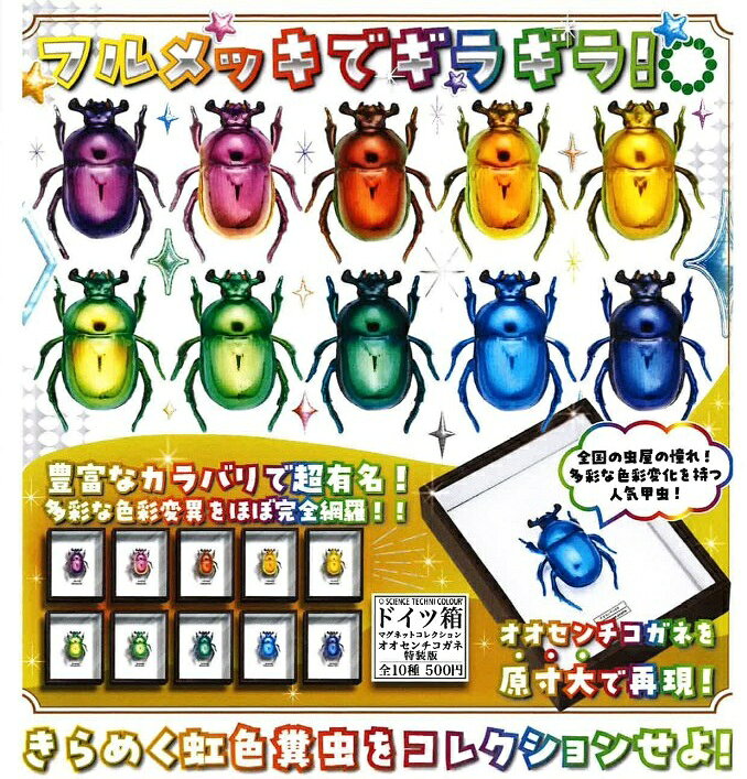 楽天市場】ドイツ箱の通販
