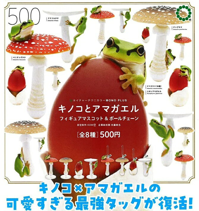 楽天市場】いきもん アマガエルの通販