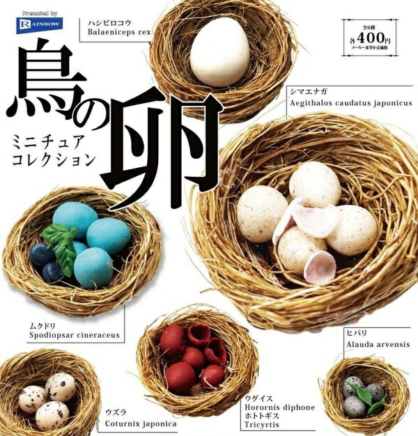 【3月発売予定】 鳥の卵 ミニチュアコレクション 【全6種セット】 ※仮予約※...