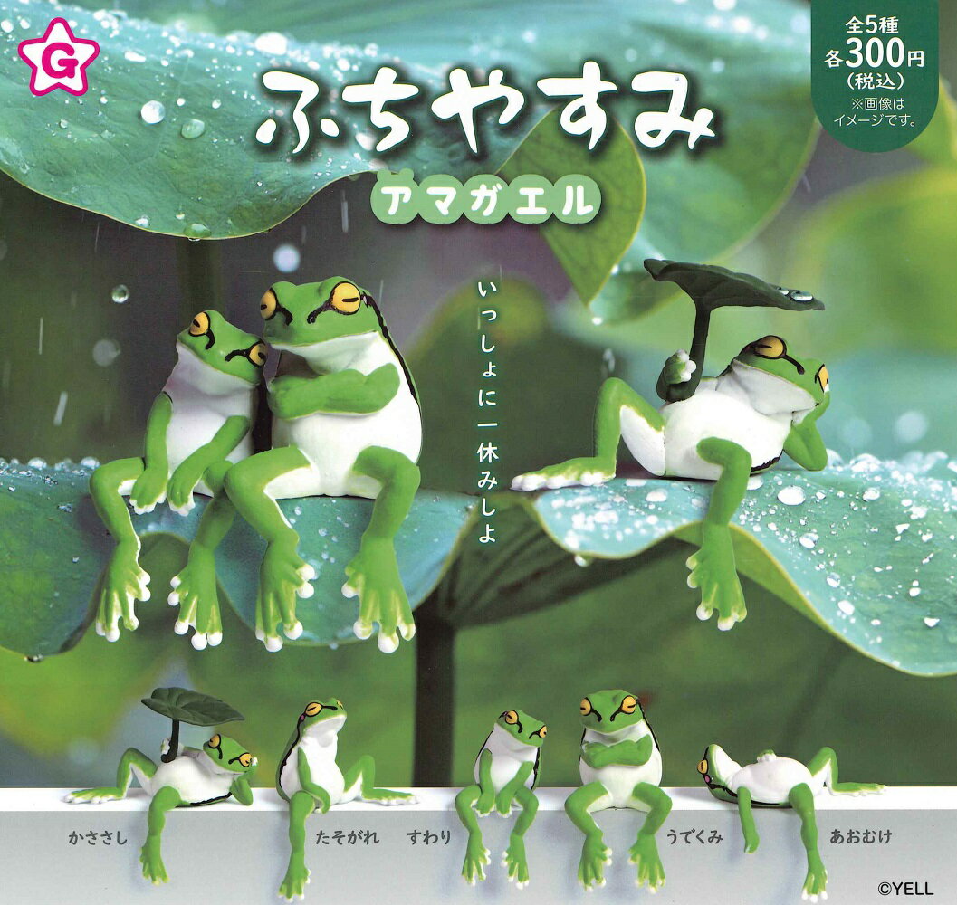 乐天商城 - 【6月再販予定】 ふちやすみアマガエル 【全5種セット】