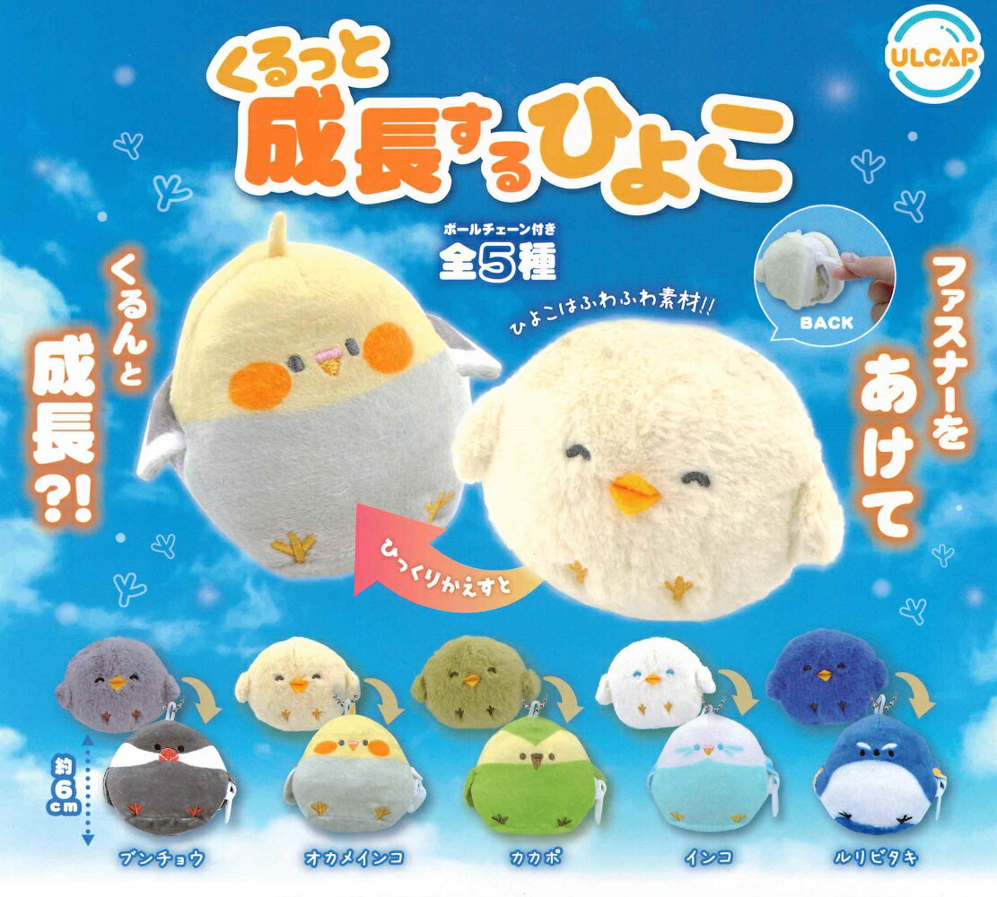 くるっと成長するひよこ 【各種】