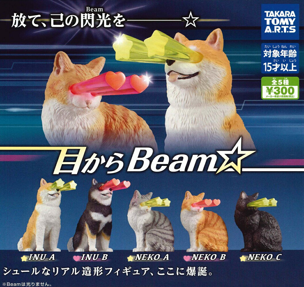 目からbeam☆ 【全5種セット】