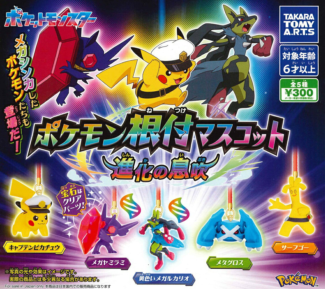 �ݥ�����եޥ����å� �ʲ���©�� ����5�糧�åȡ�