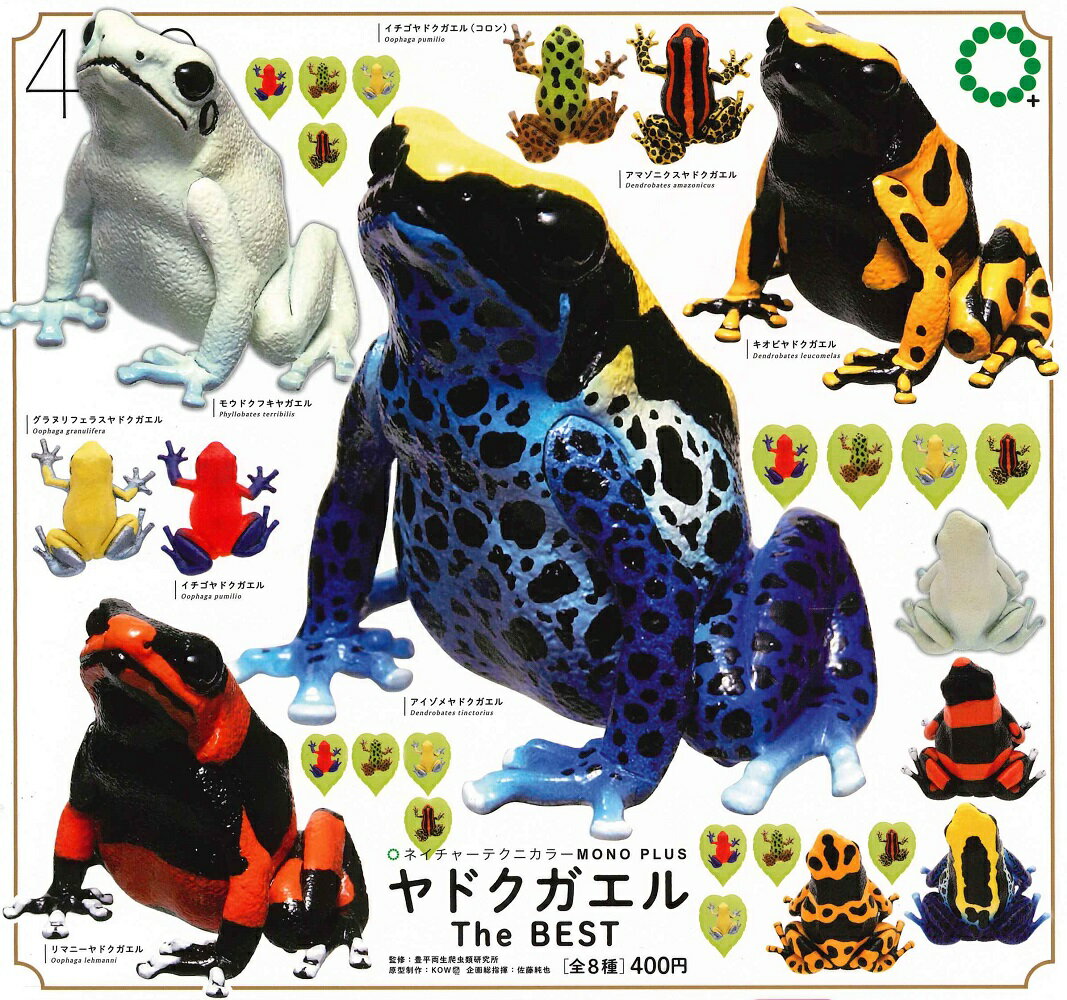 楽天市場】ネイチャー テクニカラー ヤドクガエルの通販