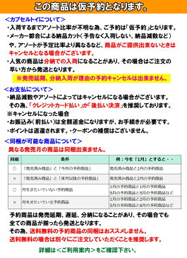 【7月発売予定】 鬼滅の刃 すわらせ隊4 〜柱合会議〜 【全5種セット】 ※仮予約※