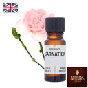 フレグランスオイル アロマオイル カーネーション アロマ オイル 10ml おしゃれ プレゼント トイレ 寝室 女性 フレグランス 睡眠 瓶 安眠 ルーム 部屋 ルームフレグランス 長持ち 玄関 芳香剤 部屋用 寝る時 寝室 部屋の香水 火を使わない 玄関用 安眠用 トイレ用 母の日