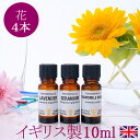 花のアロマオイル セット 10ml×4本 ラベンダー カモミール ゼラニウム イランイラン 送料無料