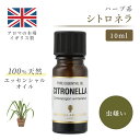 アロマオイル シトロネラ 10ml イギ