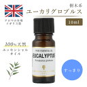 アロマオイル ユーカリ 10ml 精油 エッセンシャルオイル アロマ リラックス ギフト プレゼント ユーカリグロブルス リフレッシュ 癒やし 集中 勉強 アロマテラピー