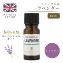 アロマオイル ラベンダー 10ml イギ