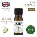 アロマオイル カユプテ　10ml エッセンシャルオイル アロマ リラックス ギフト プレゼント リフレッシュ 癒やし 集中 勉強 アロマテラピー