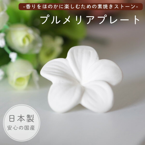 �����ޥ����� ���å� ��٥���� 10ml + �����ޥץ졼�� ŷ������100%�å����ޥ��ȡ��� ���å��󥷥�륪���� �����ޥ����륻�å� �����ޥ��å� ���ե� ������ ���å��� ��̲ �ý� ���� �ٶ� ������ �����ޥ��å� �����ޥǥ��ե塼���� �����ޥƥ�ԡ���SS��