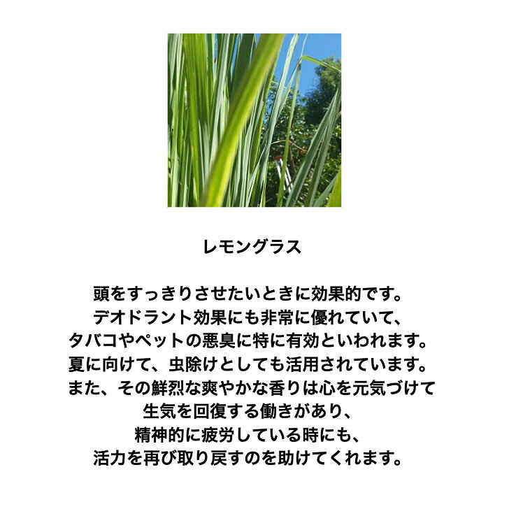 AROMA SHOP DEERのレモングラス　10ml　送料無料　アロマ　オーガニック　エッセンシャルオイル　精油｜アングル2