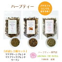 ハーブティー 送料無料 お試し トライアル ノンカフェイン 茶葉 水出し 入浴 ダイエット ストレス 生活習慣 マテグリーンブレンド 食べ過ぎが気になる時 マテ...